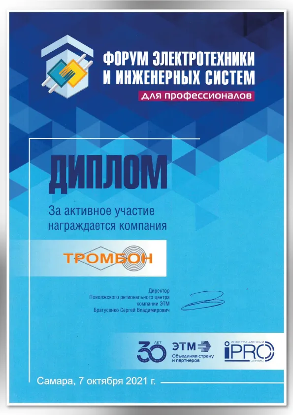 Диплом ЭТМ Самара 2021 Диплом ЭТМ Самара 2021